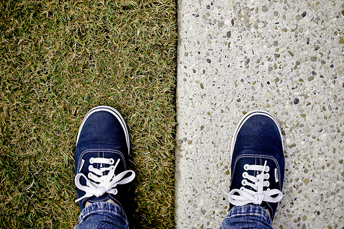 Which way are you going to go?