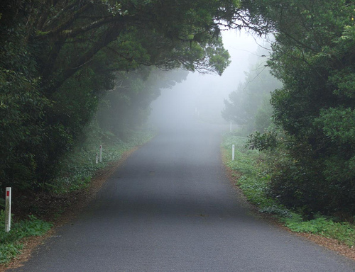 Post image for How I Navigate an Unseen Path