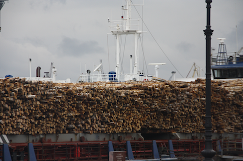 St Petersburg logging tanker