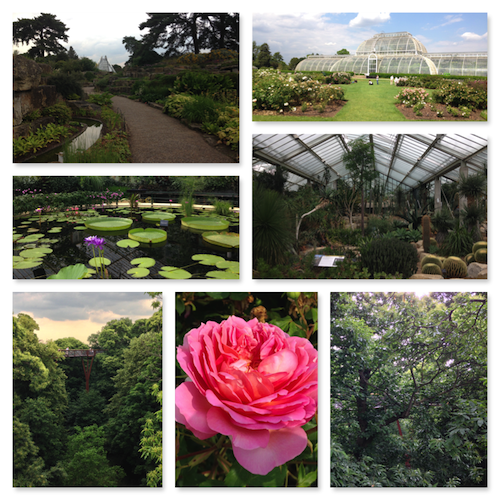 london top 10 sites kew gardens