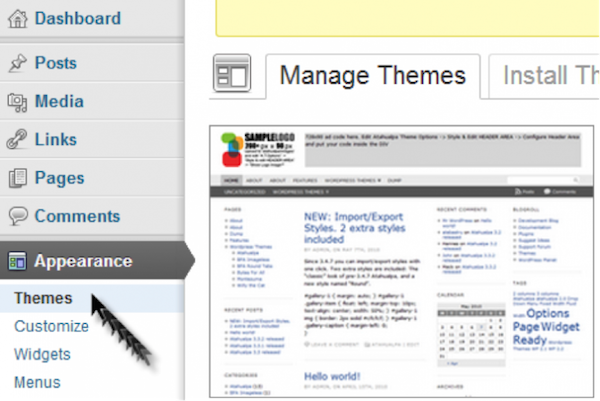 Wordpress Appearance Themes